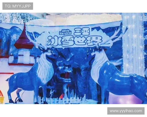 冰火频道直播：极致体验，双重视觉盛宴